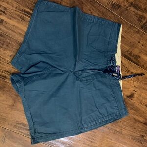 Patagonia Men's Blue Shorts